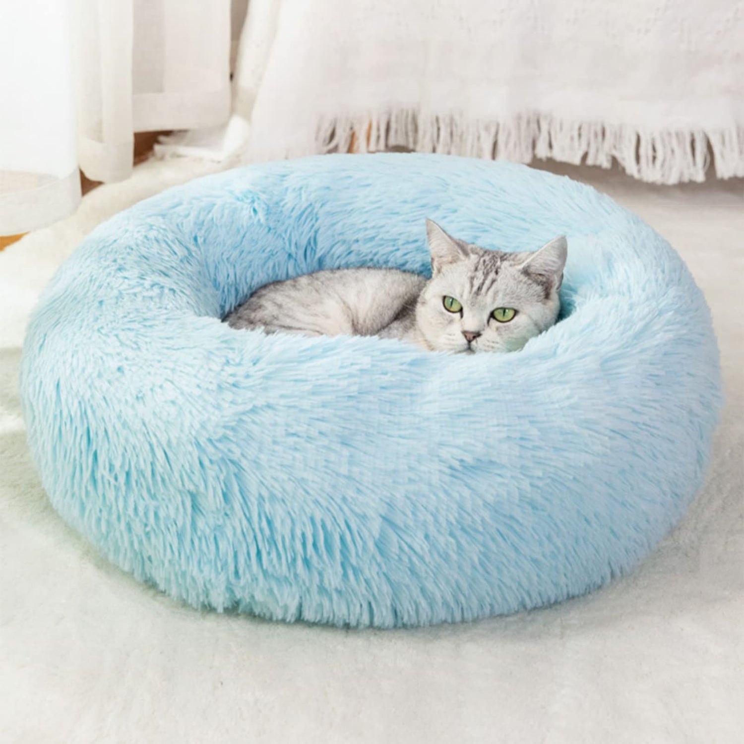 Cat Beds